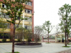 cŴ